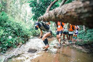 BIB: 
                            <button type="button" onclick="openModal(25372104)" class="btn btn-primary btn-sm float-right btn-popup" data-toggle="modal" data-target=".modal-high-quality">
                        <i class="fas fa-shopping-cart"></i> Add to Cart
                    </button>
                                            <button type="button" onclick="isThisMe(25372104, true)" class="btn btn-success btn-sm float-right btn-popup btn-isme hidden" data-toggle="tooltip" data-placement="bottom" title="นี่คือรูปของคุณใช่ไหม คลิกที่นี่เพื่อเอาเข้าอัลบั้ม">
                        <i class="fas fa-plus"></i> Add to album
                    </button>
                    <button type="button" onclick="isThisMe(25372104, false)" class="btn btn-warning btn-sm float-right btn-popup btn-isnotme hidden">
                        <i class="fas fa-ban"></i> Remove from album
                    </button>